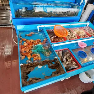 여진호 리뷰 사진
