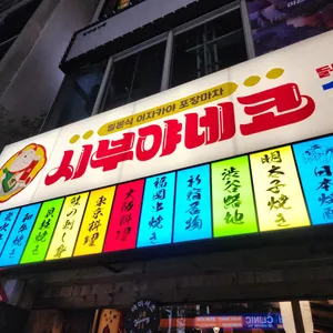 시부야 네코 대표 사진