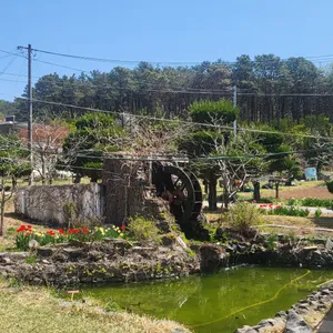 화목칼국수 리뷰 사진