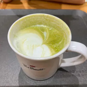 폴바셋 사진