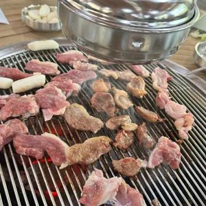 통나무오리 사진