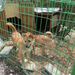 촌두부집 리뷰 사진