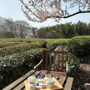 매암차 박물관 리뷰 사진