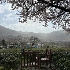 매암차 박물관 리뷰 사진