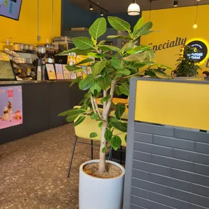 컴포즈커피 리뷰 사진