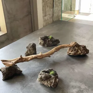 파사드하우스 사진