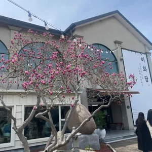 이화담 리뷰 사진