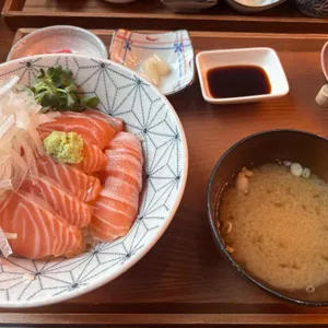 메시 사진
