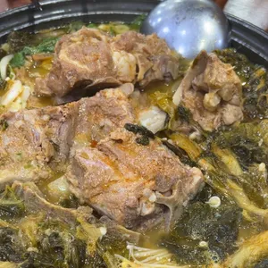 등뼈 사진