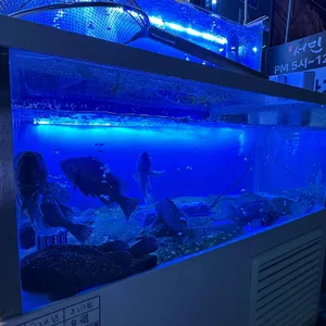 회부심 리뷰 사진