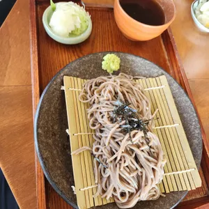 기린아 사진