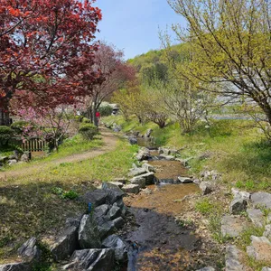 초록향기 농부의밥상 리뷰 사진