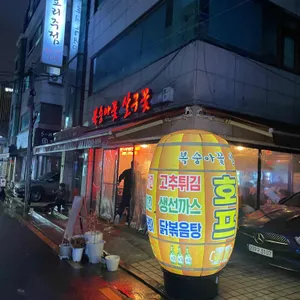 복숭아꽃 살구꽃 리뷰 사진
