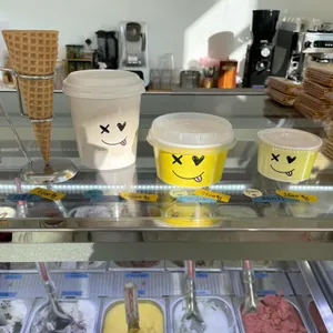 아이스쿱 사진