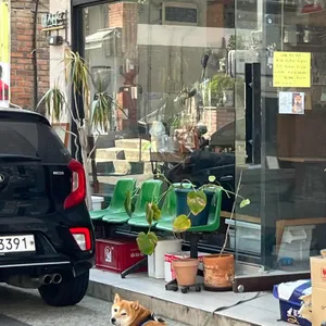머스타드 리뷰 사진