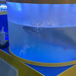 대항해시대 리뷰 사진