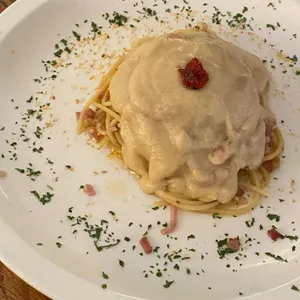 조밀 사진