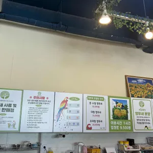 리프패럿 리뷰 사진