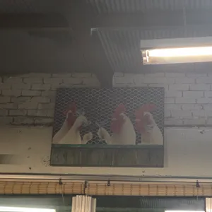 세계닭집 리뷰 사진