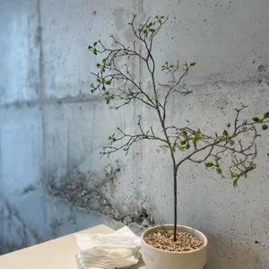 오우스마켓 리뷰 사진