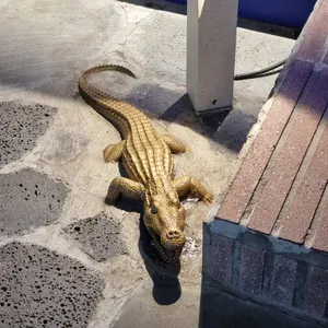 주남로 사진