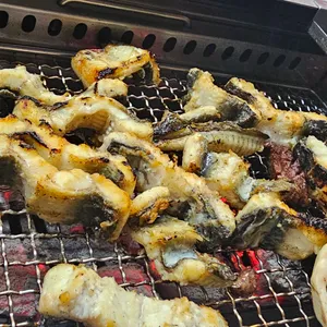 무안안창장어 사진