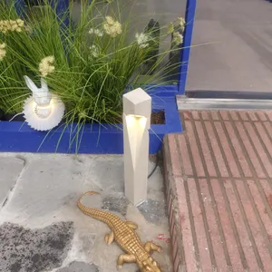 주남로 사진