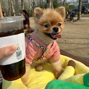 파리바게뜨 리뷰 사진