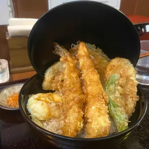 네코정 사진