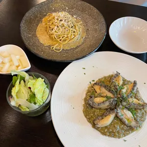 파쏘 사진