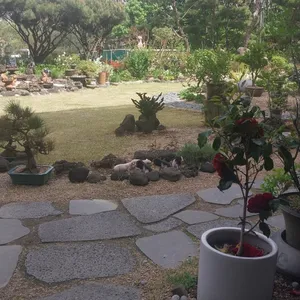 본알레 리뷰 사진