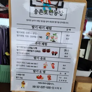 송촌호반딸기 체험농장 리뷰 사진