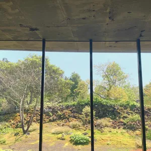 베케 리뷰 사진
