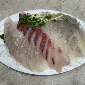 어시장 활어회 사진