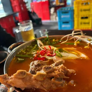 마토리 사진