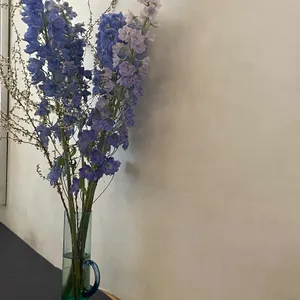 보테 리뷰 사진