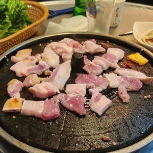 도새기 사진