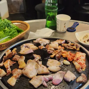 도새기 사진