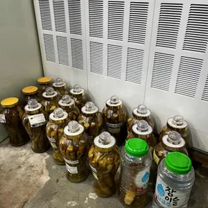 홍가네풍천장어 리뷰 사진