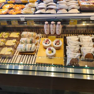 쟈빠따 사진