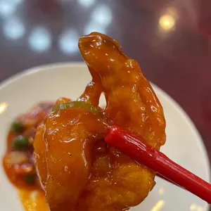 진보 사진