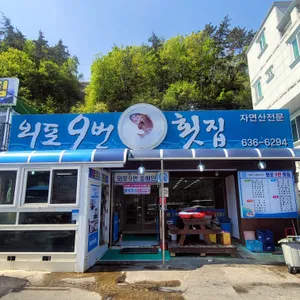 구번횟집 리뷰 사진