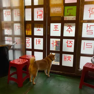 대포차 리뷰 사진