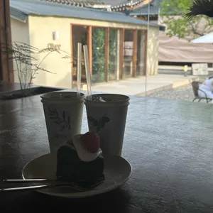 올리브 사진