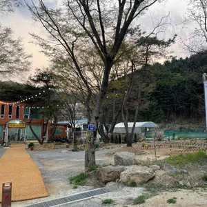 우리집가든 리뷰 사진