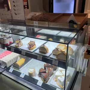 폴 바셋 리뷰 사진
