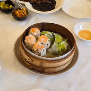 하이보 사진