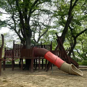 포구나무집 리뷰 사진