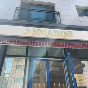 안나비니 대표 사진