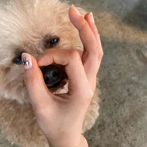 스페로.스페라 리뷰 사진